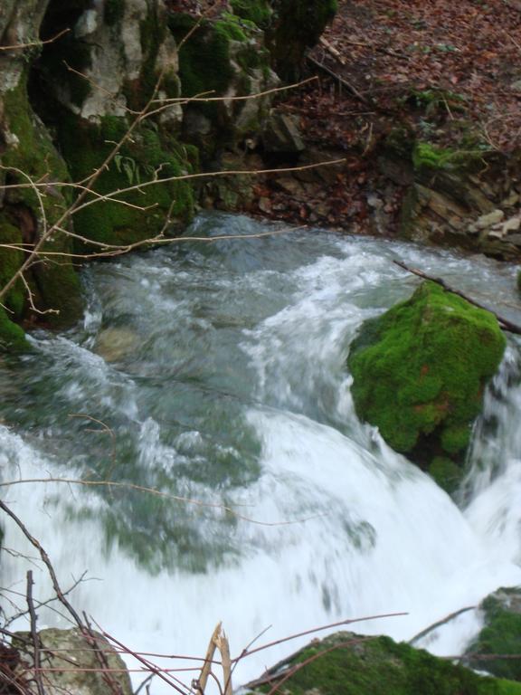 Appartement Prenocisca Jezero à Gorenje Jezero Extérieur photo